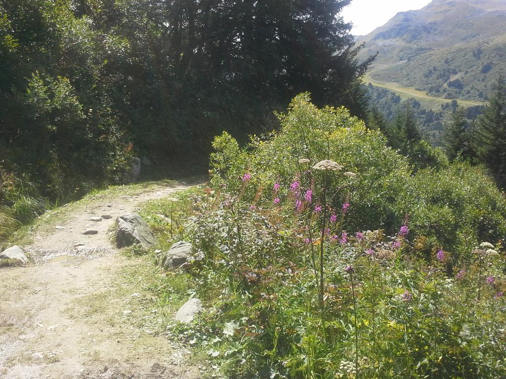 Studio Le Plan Clou Arbaz Bagian luar foto